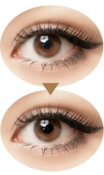  O marrom eyes lentes de contato do Perspective